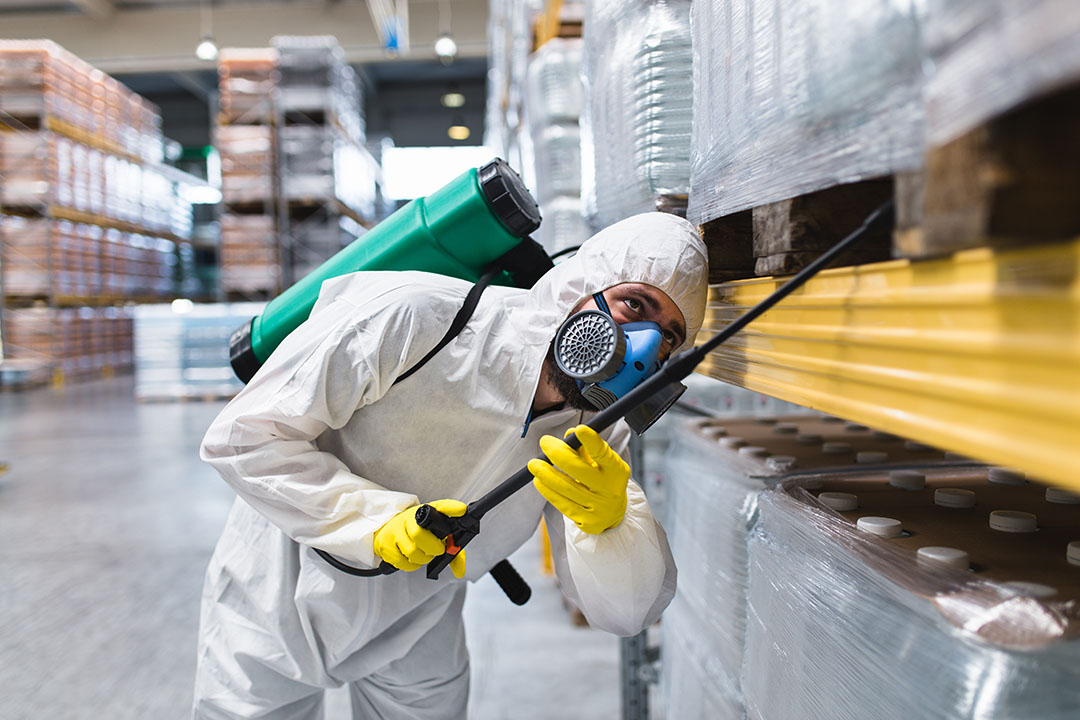 Effective Pest Control Solutions