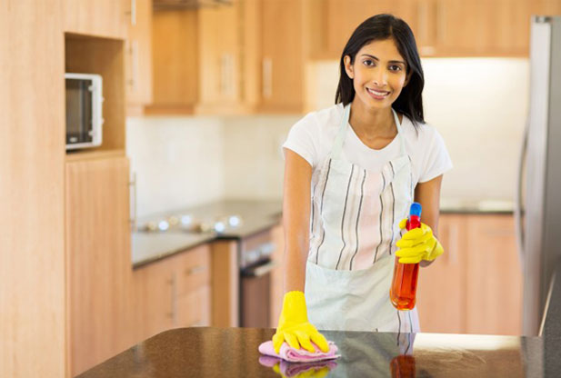 Professional Housekeeping Services